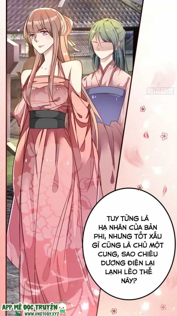 Trọng Sinh Đế Phi: Quyền Khuynh Thiên Hạ - Chương 24 - ảnh 10