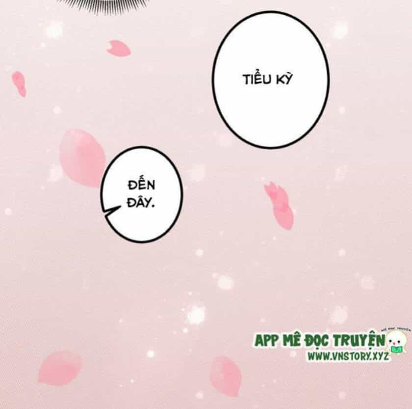 Trọng Sinh Đế Phi: Quyền Khuynh Thiên Hạ - Chương 31 - ảnh 9