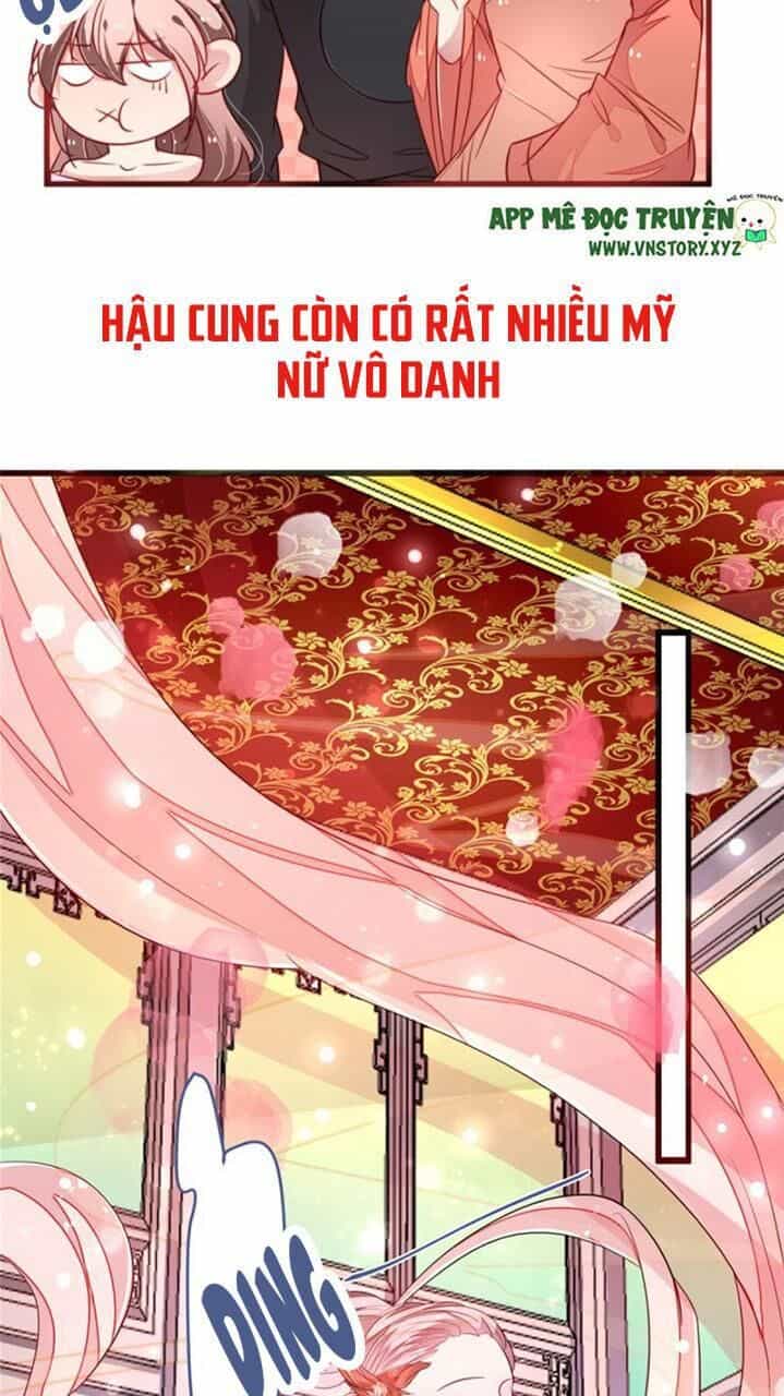 Trọng Sinh Đế Phi: Quyền Khuynh Thiên Hạ - Chương 36 - ảnh 29