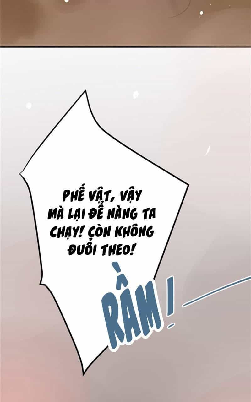 Trọng Sinh Đế Phi: Quyền Khuynh Thiên Hạ - Chương 36 - ảnh 5