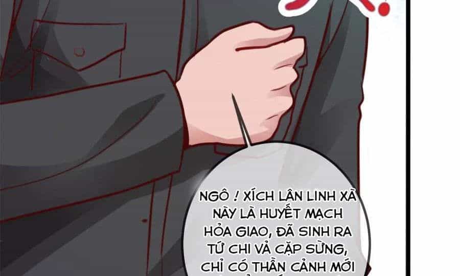 Trọng Sinh Địa Cầu Tiên Tôn - Chương 0 - ảnh 48