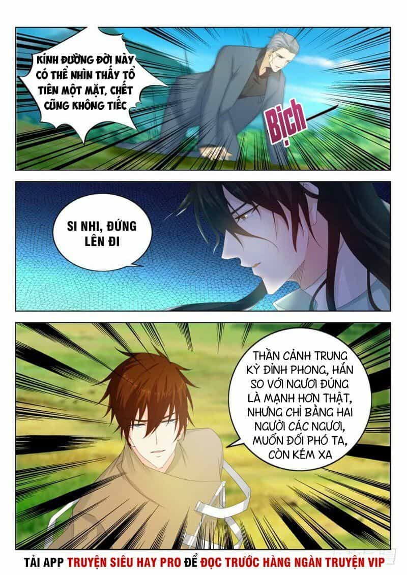 Trọng Sinh Đô Thị Tu Tiên - Chương 277 - ảnh 11