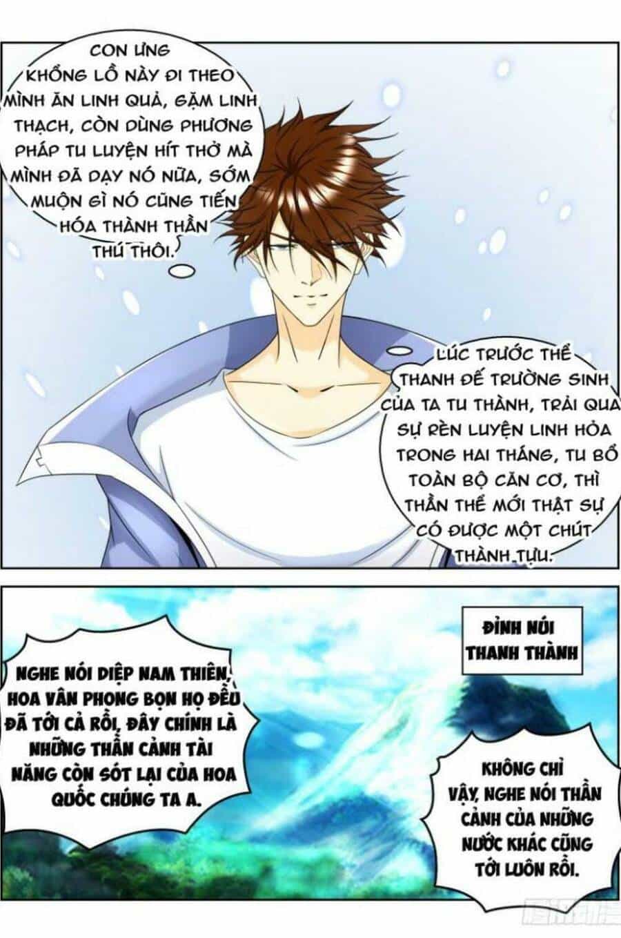 Trọng Sinh Đô Thị Tu Tiên - Chương 333 - ảnh 9
