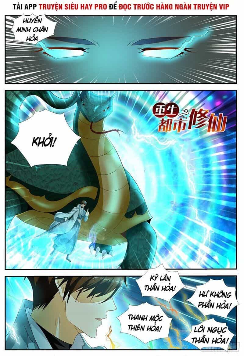 Trọng Sinh Đô Thị Tu Tiên - Chương 520 - ảnh 2
