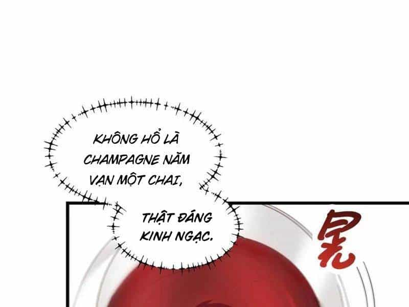 Trọng Sinh Không Làm Chạn Vương, Tôi Một Mình Nạp Game Thăng Cấp - Chương 114 - ảnh 71