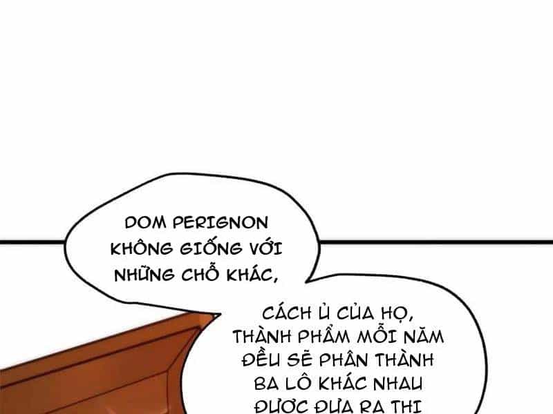 Trọng Sinh Không Làm Chạn Vương, Tôi Một Mình Nạp Game Thăng Cấp - Chương 114 - ảnh 84