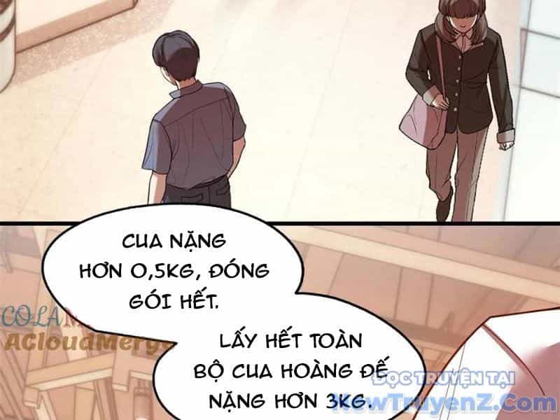 Trọng Sinh Không Làm Chạn Vương, Tôi Một Mình Nạp Game Thăng Cấp - Chương 230 - ảnh 64