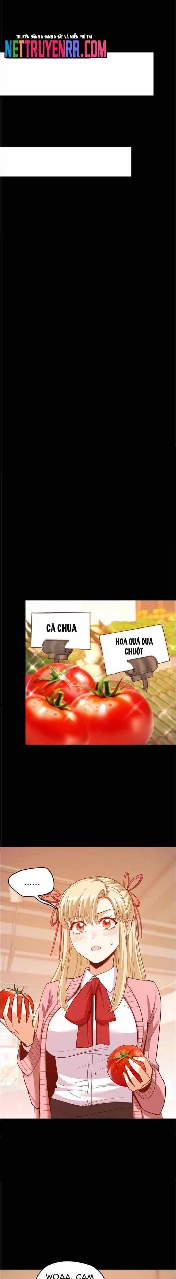 Trọng Sinh Không Làm Chạn Vương, Tôi Một Mình Nạp Game Thăng Cấp - Chương 232 - ảnh 11