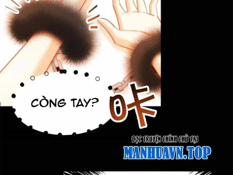 Trọng Sinh Không Làm Chạn Vương, Tôi Một Mình Nạp Game Thăng Cấp - Chương 91 - ảnh 19