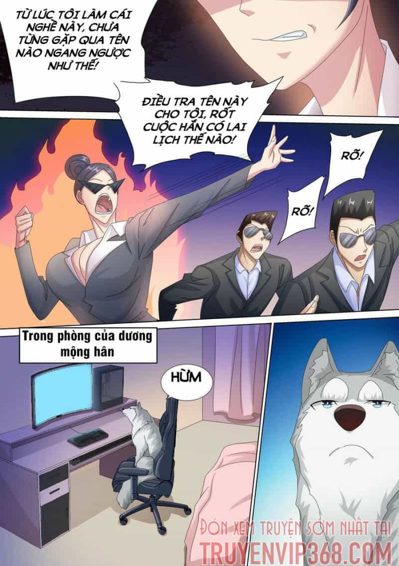 Trọng Sinh Thành Chó Của Nữ Thần - Chương 13 - ảnh 11