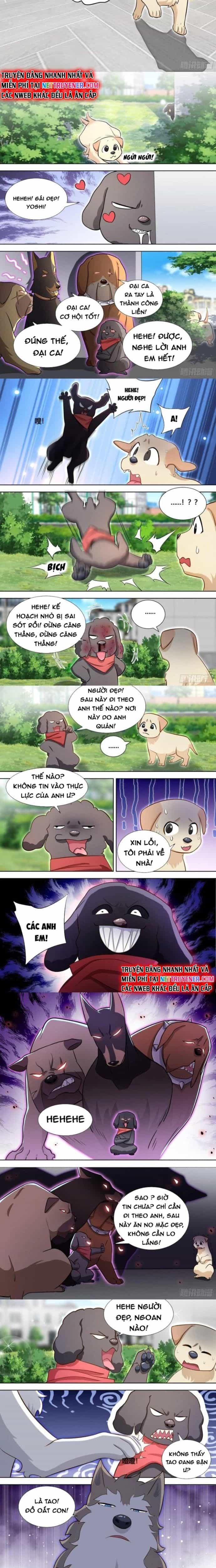 Trọng Sinh Thành Chó Của Nữ Thần - Chương 140 - ảnh 2