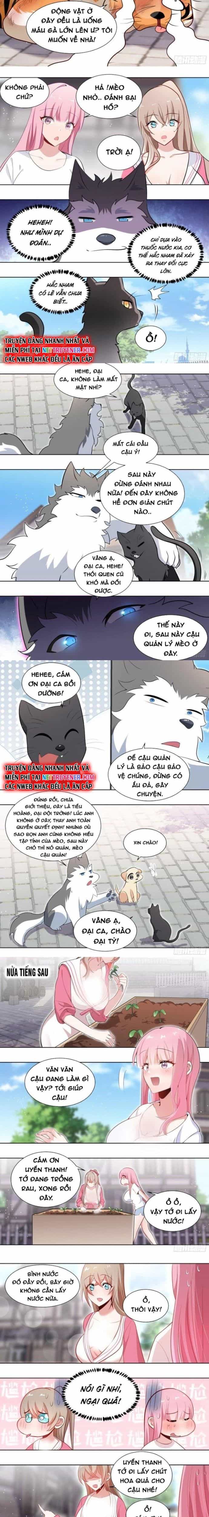 Trọng Sinh Thành Chó Của Nữ Thần - Chương 161 - ảnh 2