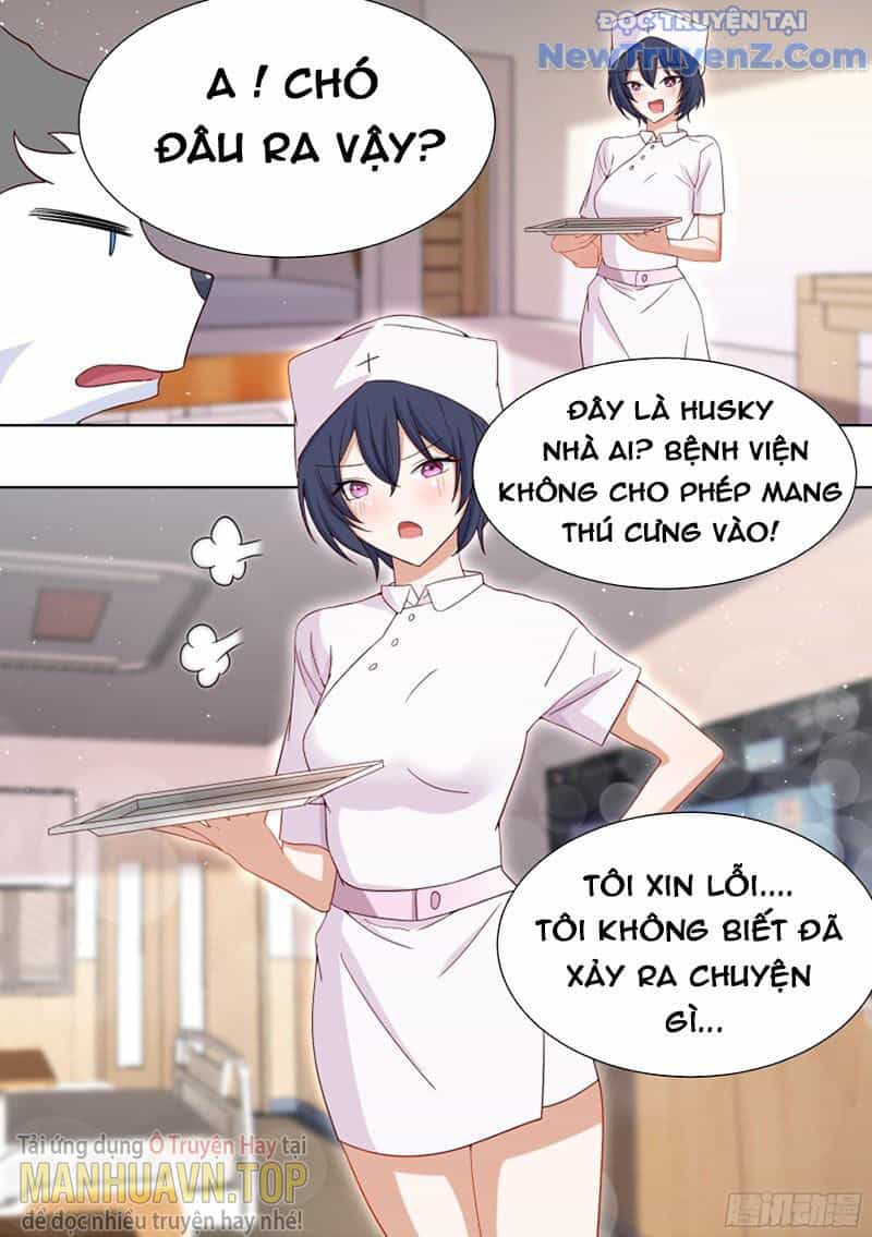 Trọng Sinh Thành Chó Của Nữ Thần - Chương 196 - ảnh 9