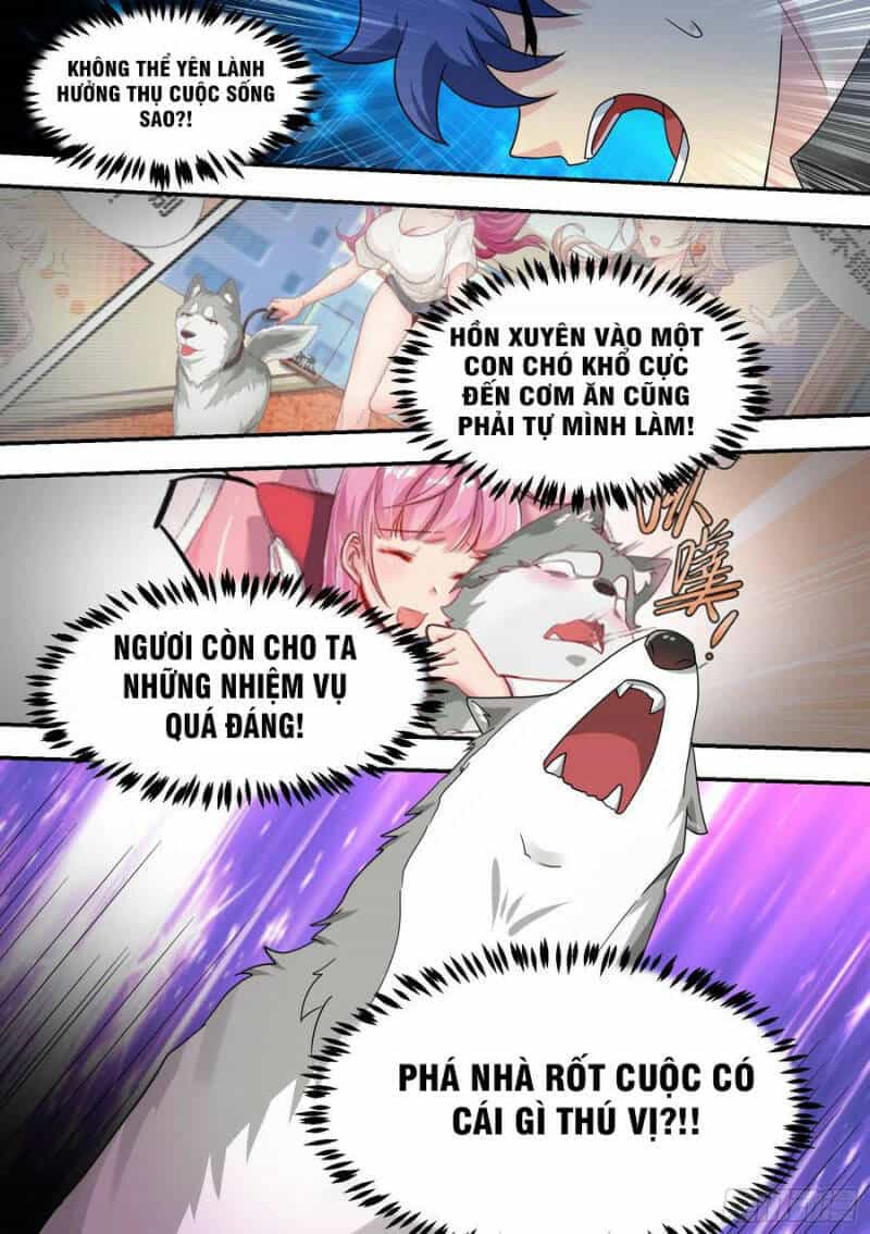 Trọng Sinh Thành Chó Của Nữ Thần - Chương 22 - ảnh 8