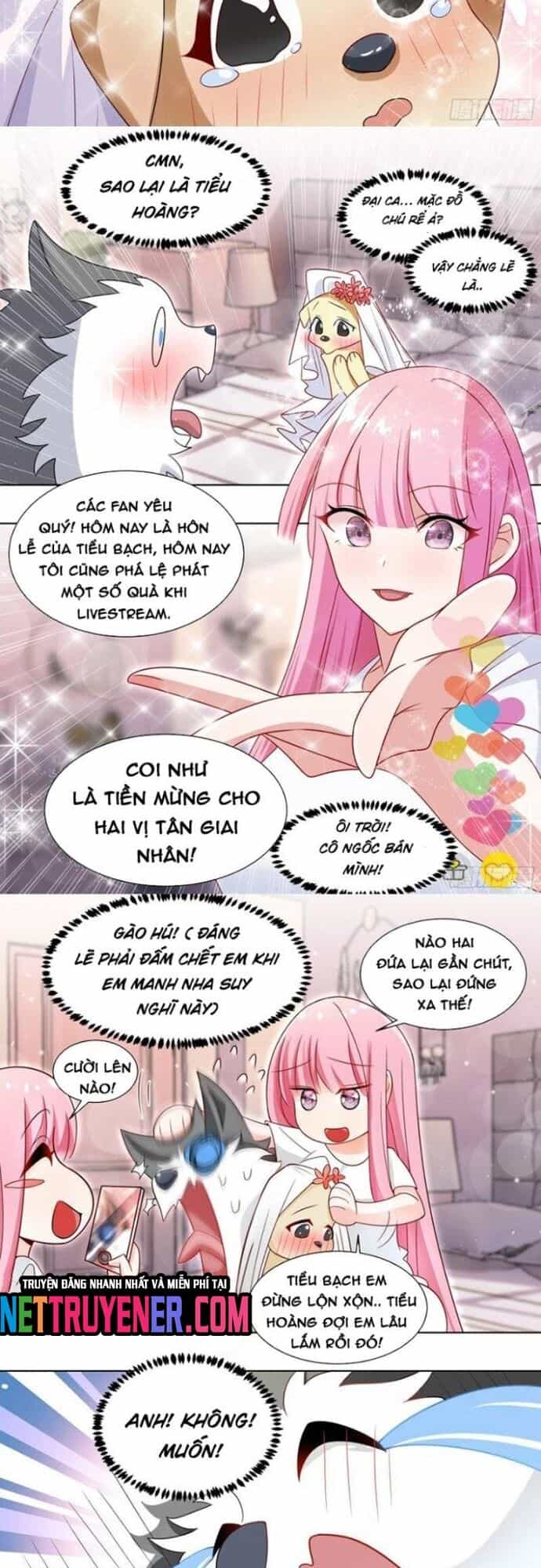 Trọng Sinh Thành Chó Của Nữ Thần - Chương 219 - ảnh 5