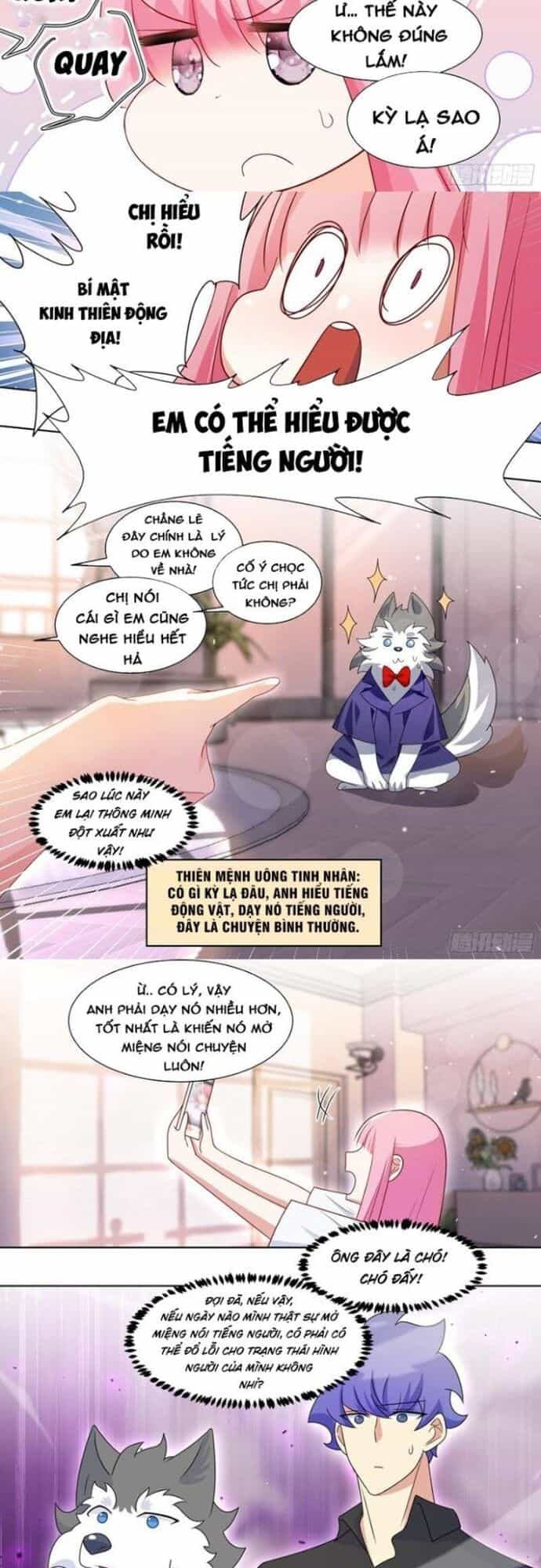 Trọng Sinh Thành Chó Của Nữ Thần - Chương 220 - ảnh 3