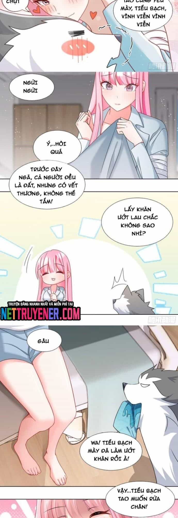 Trọng Sinh Thành Chó Của Nữ Thần - Chương 241 - ảnh 4