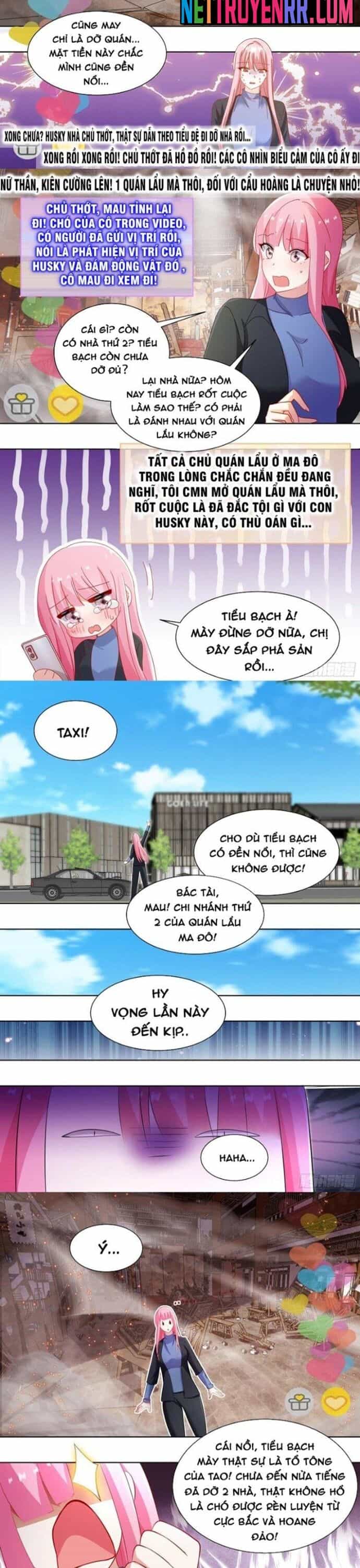 Trọng Sinh Thành Chó Của Nữ Thần - Chương 259 - ảnh 3