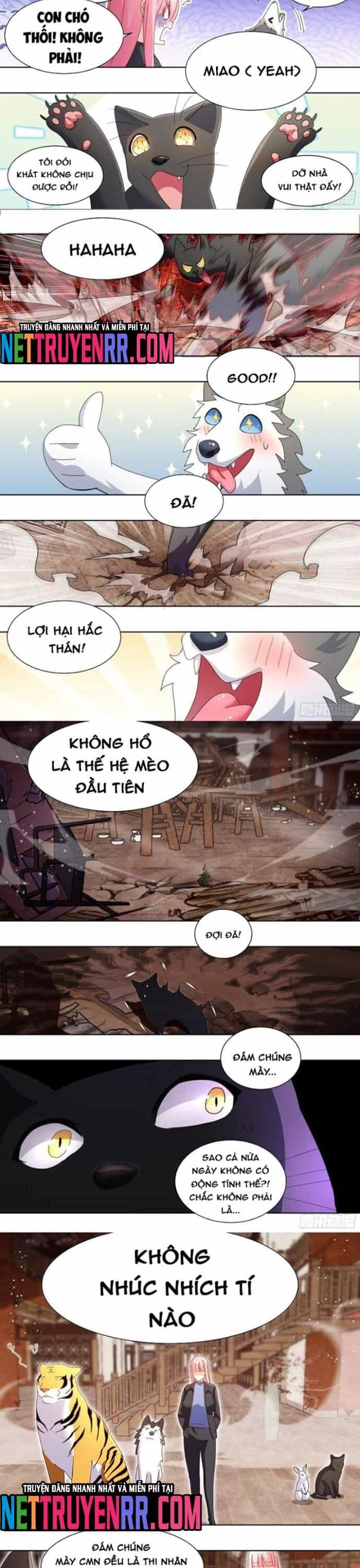 Trọng Sinh Thành Chó Của Nữ Thần - Chương 261 - ảnh 2