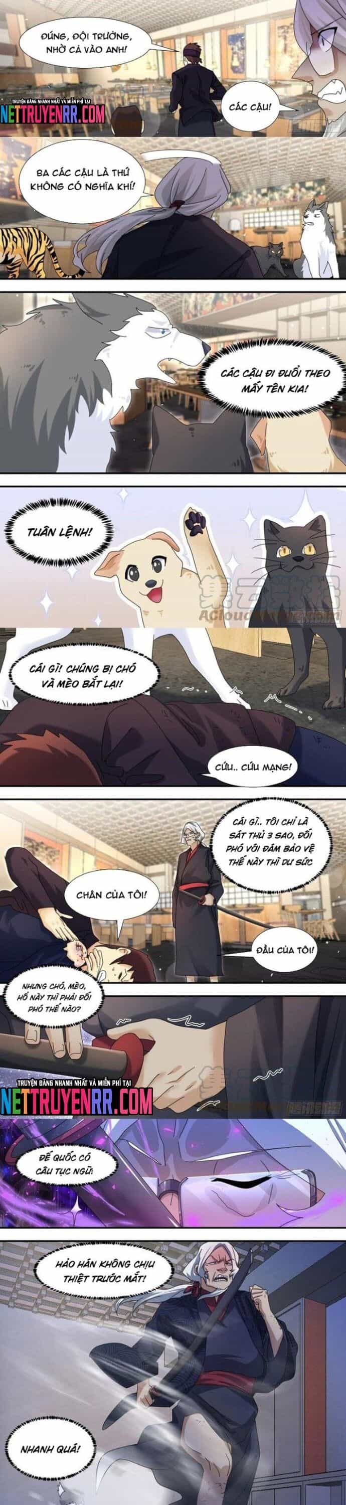 Trọng Sinh Thành Chó Của Nữ Thần - Chương 292 - ảnh 2