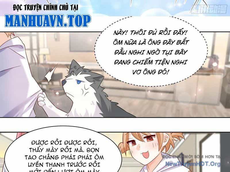 Trọng Sinh Thành Chó Của Nữ Thần - Chương 403 - ảnh 17