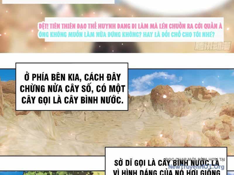 Trọng Sinh Thành Chó Của Nữ Thần - Chương 405 - ảnh 13