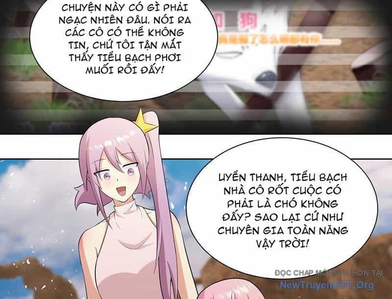 Trọng Sinh Thành Chó Của Nữ Thần - Chương 406 - ảnh 17
