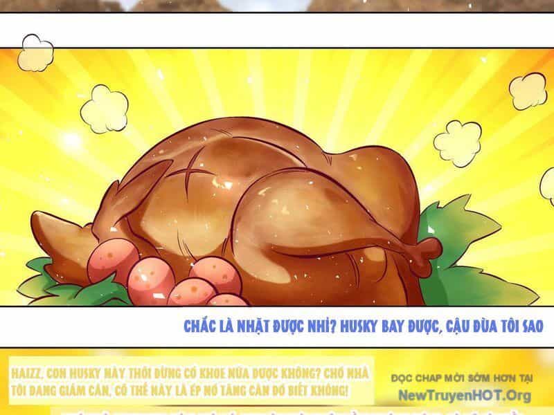 Trọng Sinh Thành Chó Của Nữ Thần - Chương 411 - ảnh 12