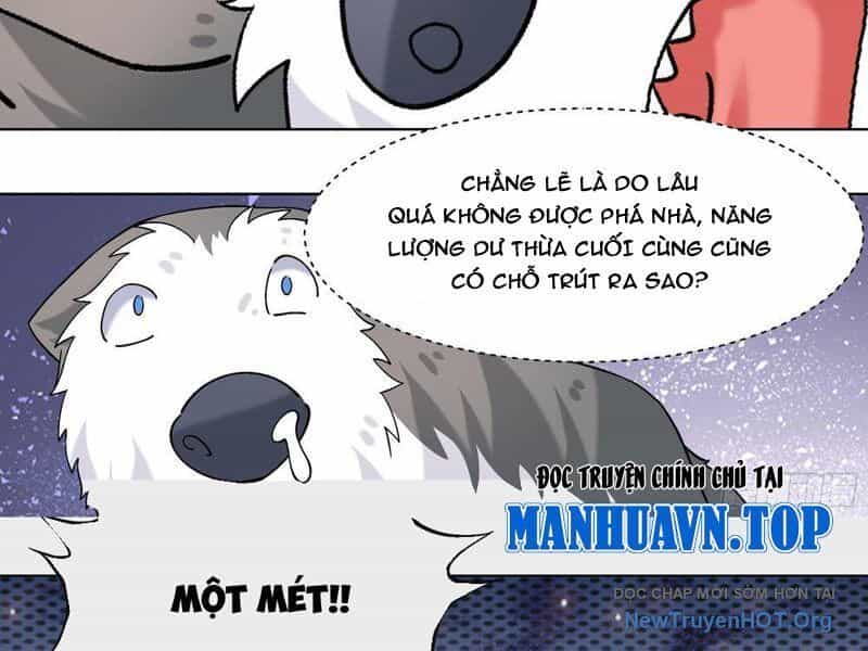 Trọng Sinh Thành Chó Của Nữ Thần - Chương 411 - ảnh 22