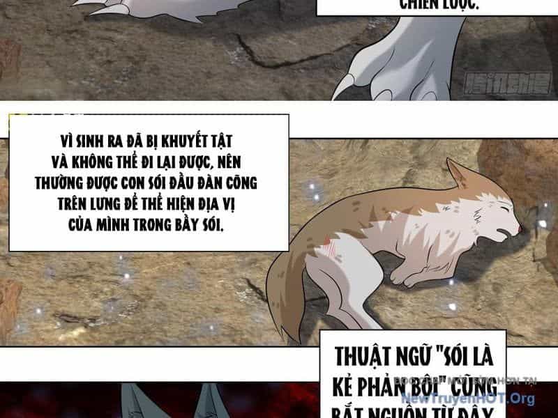 Trọng Sinh Thành Chó Của Nữ Thần - Chương 413 - ảnh 16