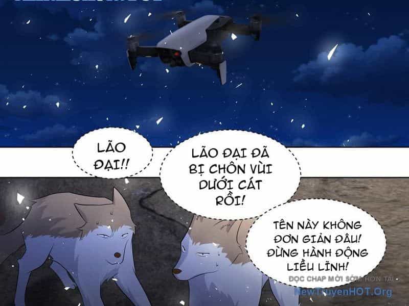 Trọng Sinh Thành Chó Của Nữ Thần - Chương 414 - ảnh 17