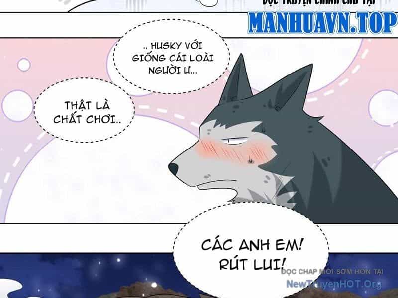 Trọng Sinh Thành Chó Của Nữ Thần - Chương 415 - ảnh 13