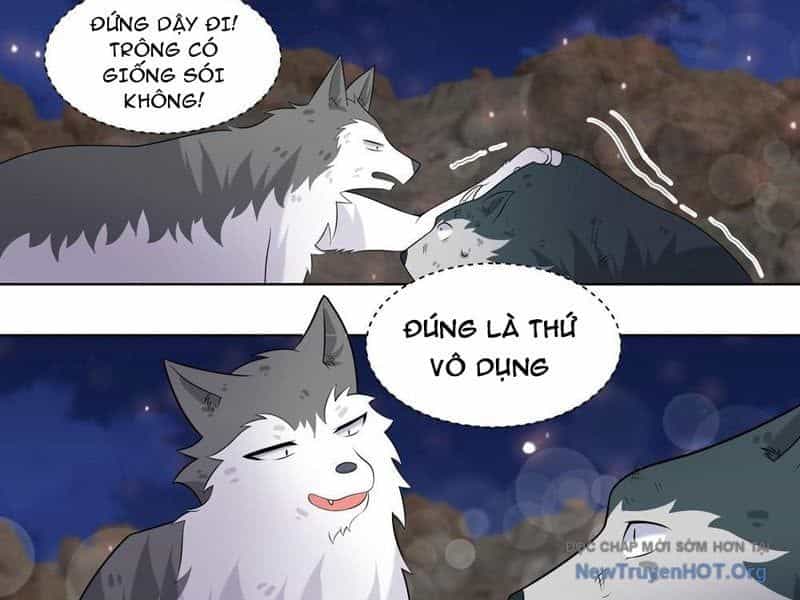 Trọng Sinh Thành Chó Của Nữ Thần - Chương 415 - ảnh 5