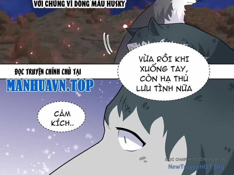 Trọng Sinh Thành Chó Của Nữ Thần - Chương 415 - ảnh 7
