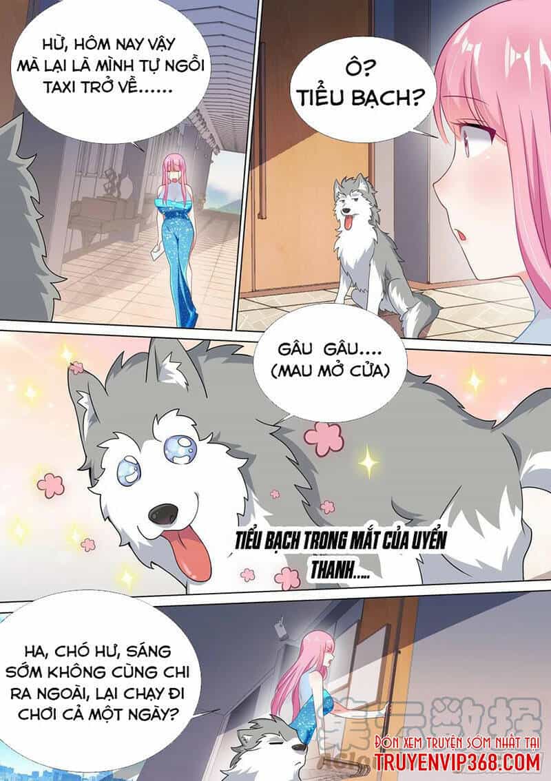 Trọng Sinh Thành Chó Của Nữ Thần - Chương 48 - ảnh 5