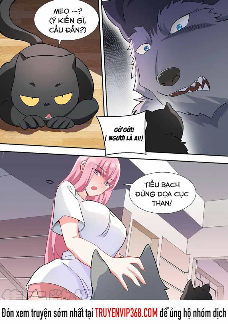 Trọng Sinh Thành Chó Của Nữ Thần - Chương 49 - ảnh 6