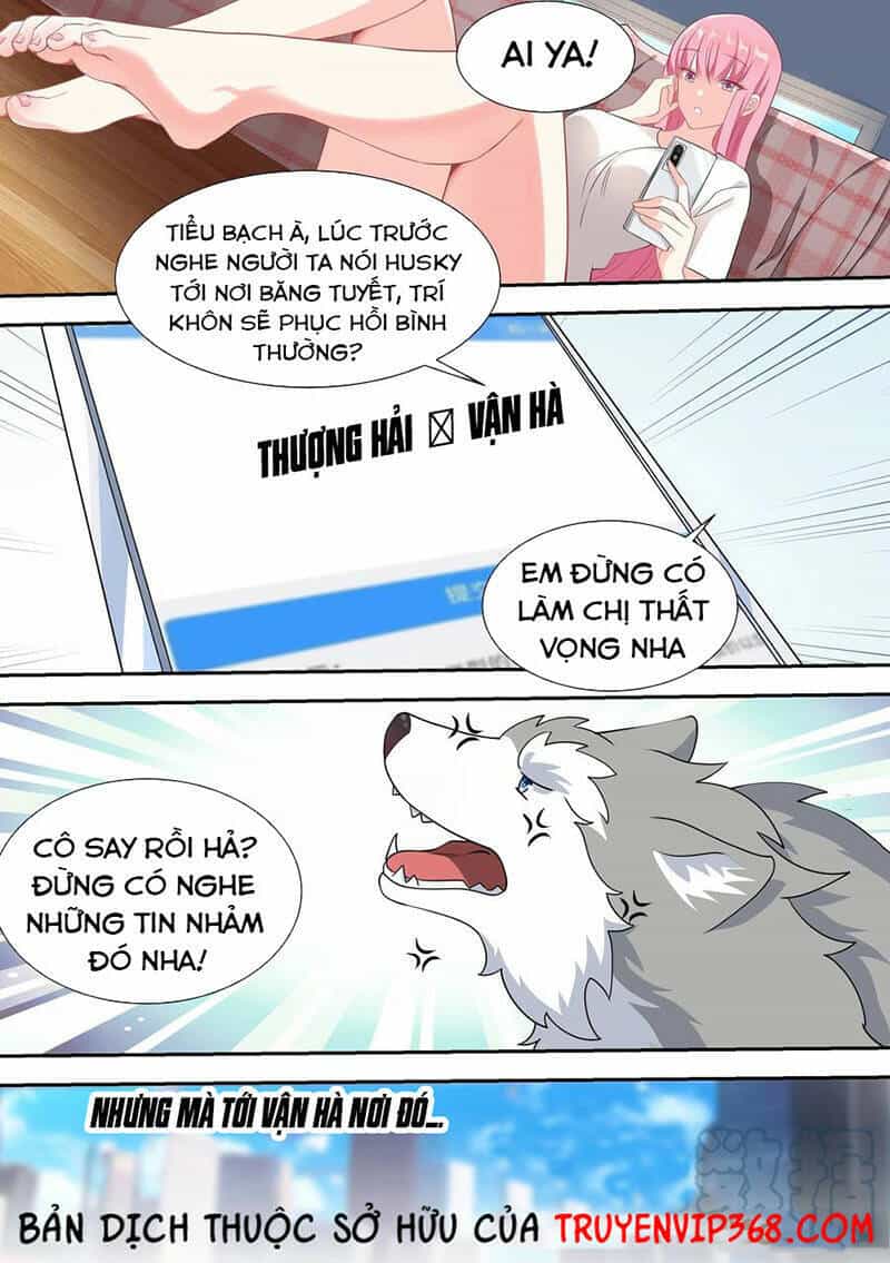 Trọng Sinh Thành Chó Của Nữ Thần - Chương 52 - ảnh 10