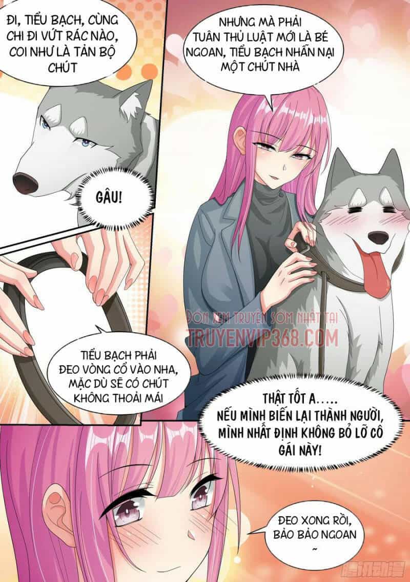 Trọng Sinh Thành Chó Của Nữ Thần - Chương 7 - ảnh 16