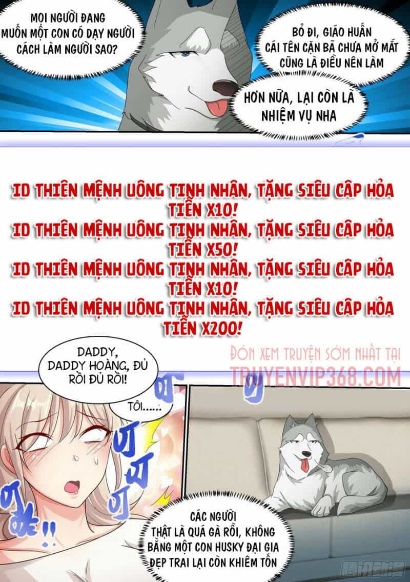 Trọng Sinh Thành Chó Của Nữ Thần - Chương 8 - ảnh 20