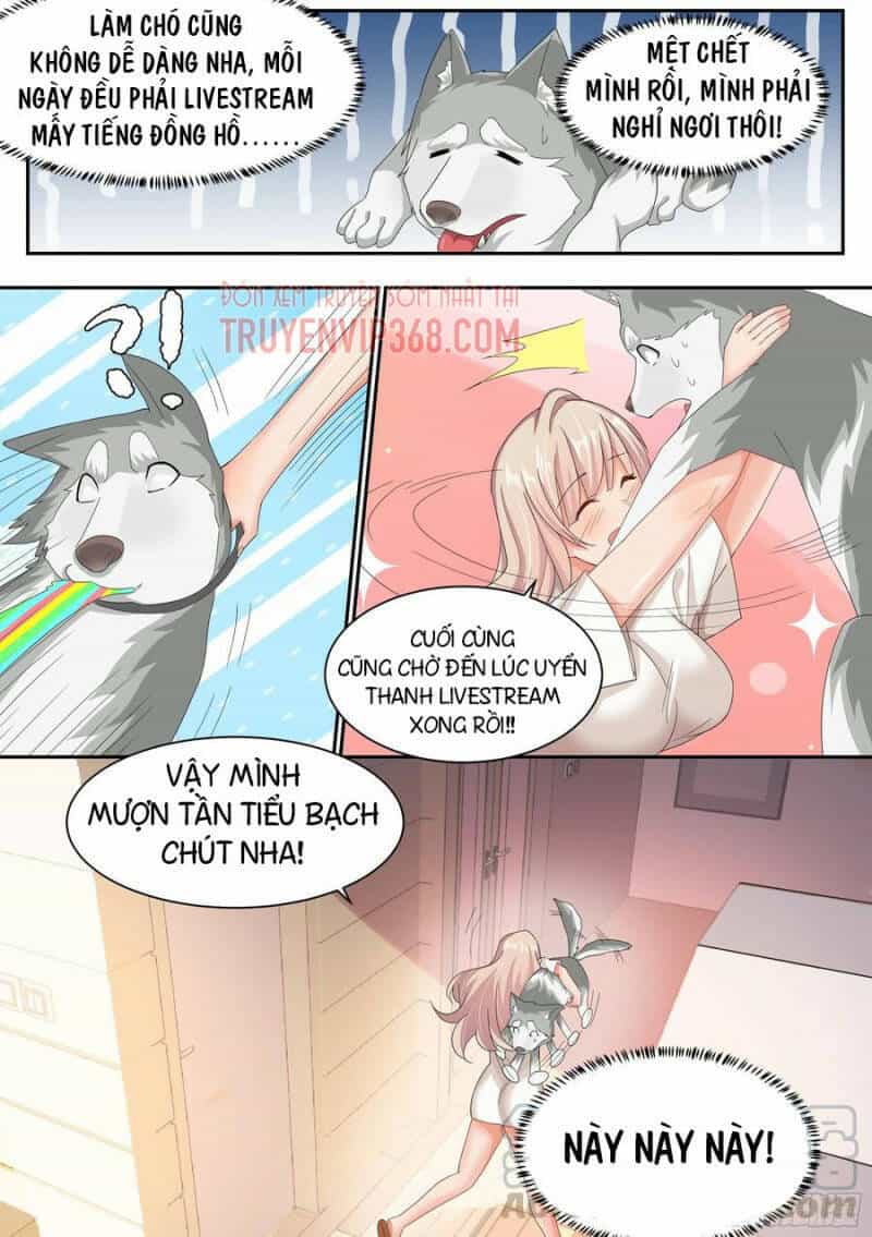 Trọng Sinh Thành Chó Của Nữ Thần - Chương 8 - ảnh 7