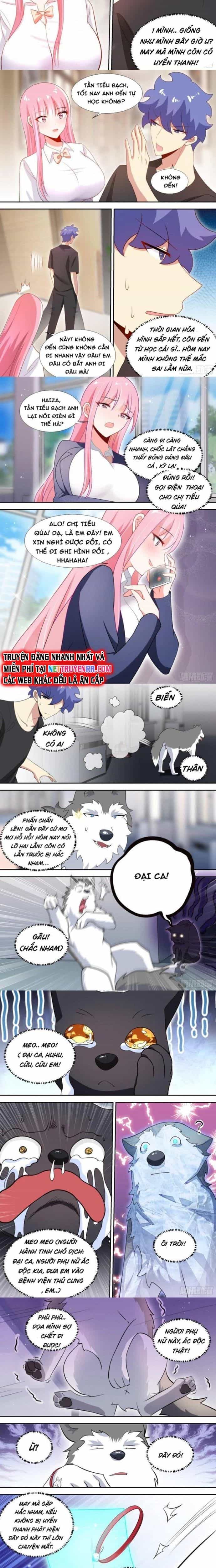 Trọng Sinh Thành Chó Của Nữ Thần - Chương 95 - ảnh 2
