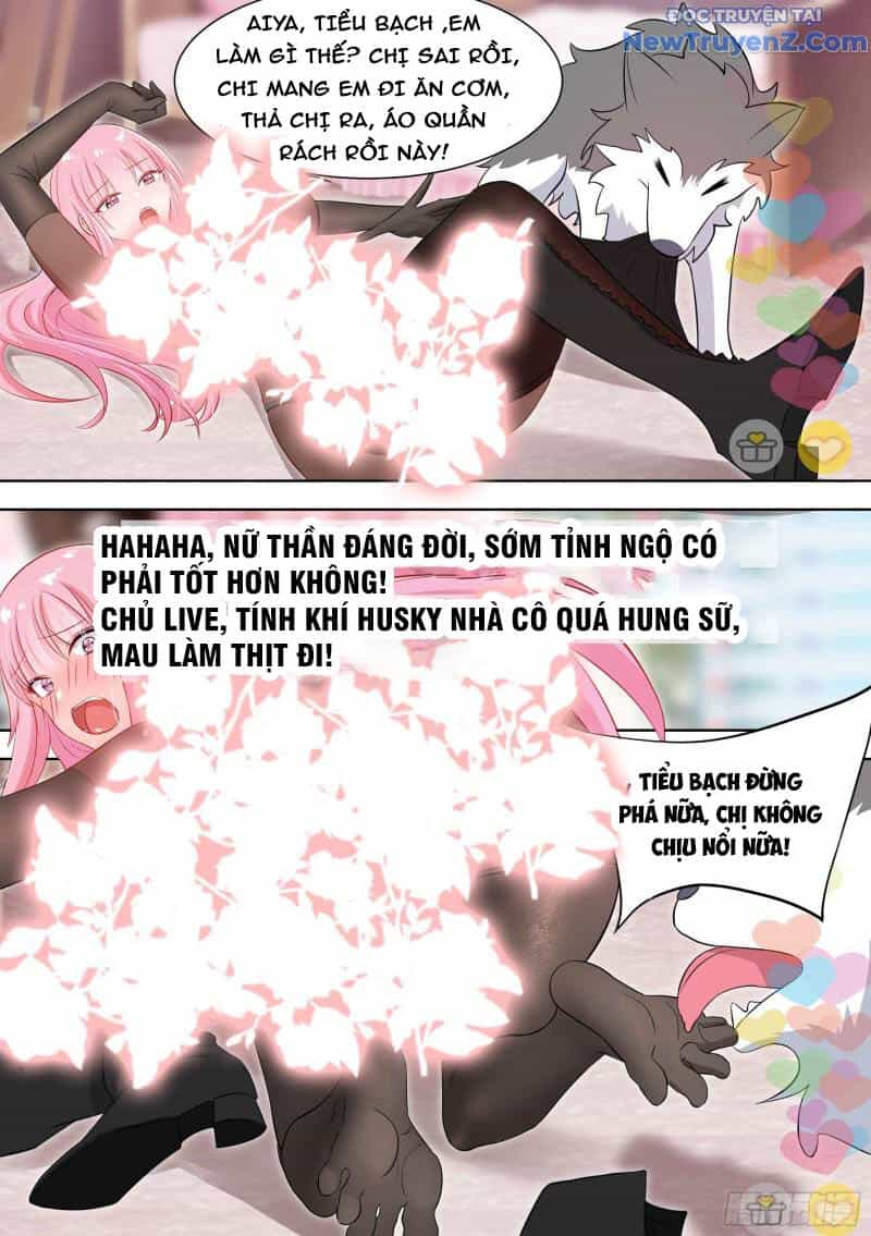 Trọng Sinh Thành Chó Của Nữ Thần - Chương 98 - ảnh 4