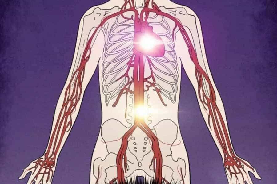 Trọng Sinh Thành Thần Y Thời Tam Quốc - Chương 31 - ảnh 9