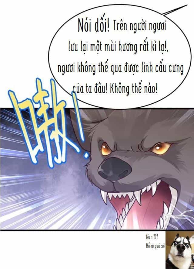 Trọng Sinh Thành Tiểu Nha Đầu - Chương 5 - ảnh 9