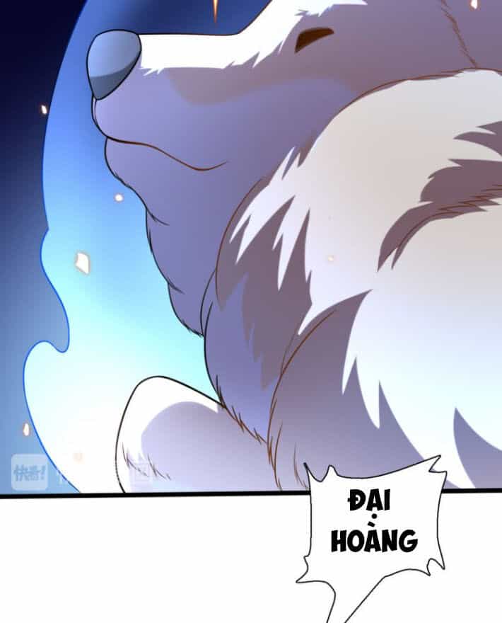 Trọng Sinh Tiểu Y Tiên - Chương 66 - ảnh 5