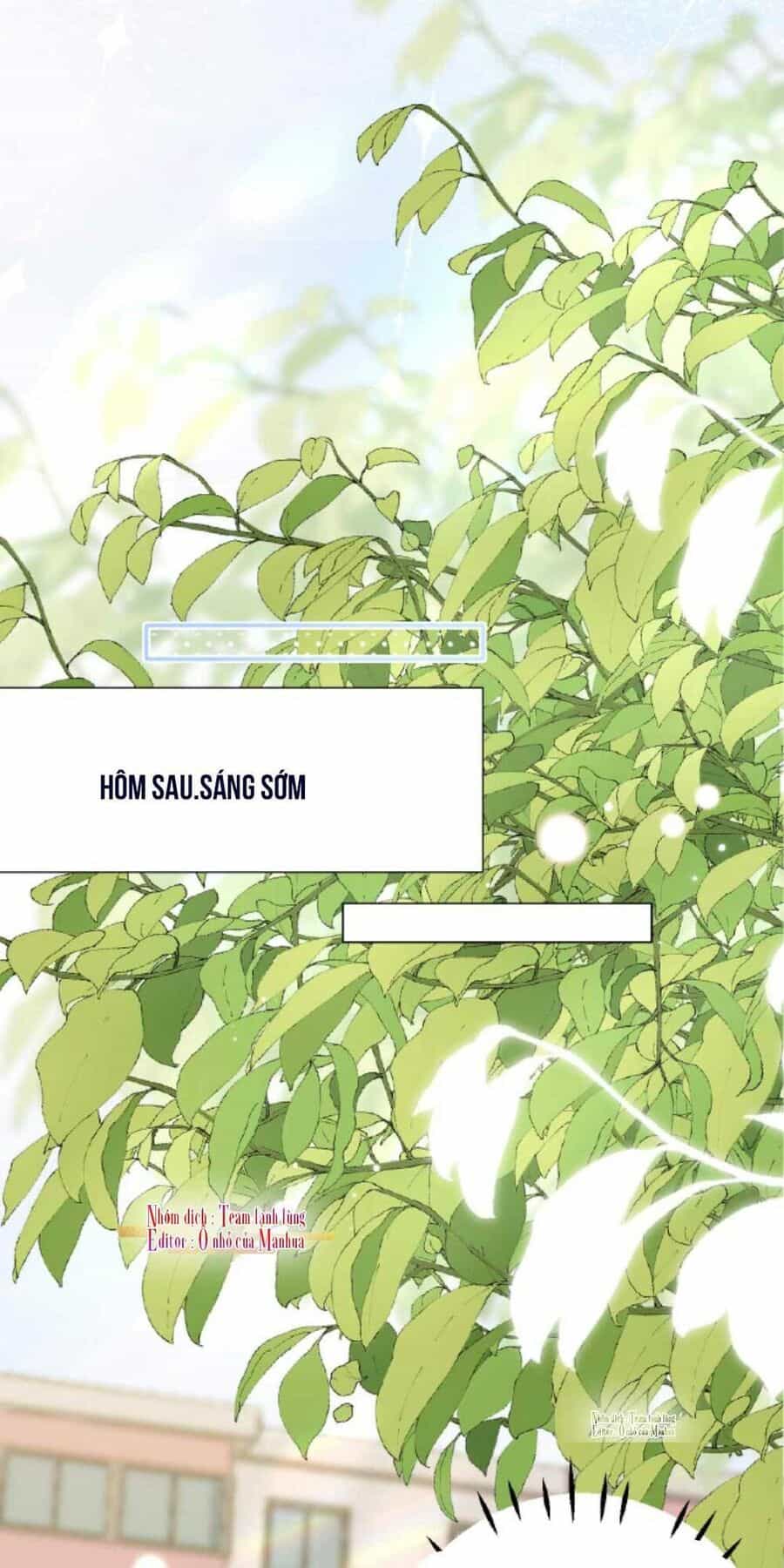 Trọng Sinh Trở Lại Làm Vợ Tổng Tài - Chương 2 - ảnh 21
