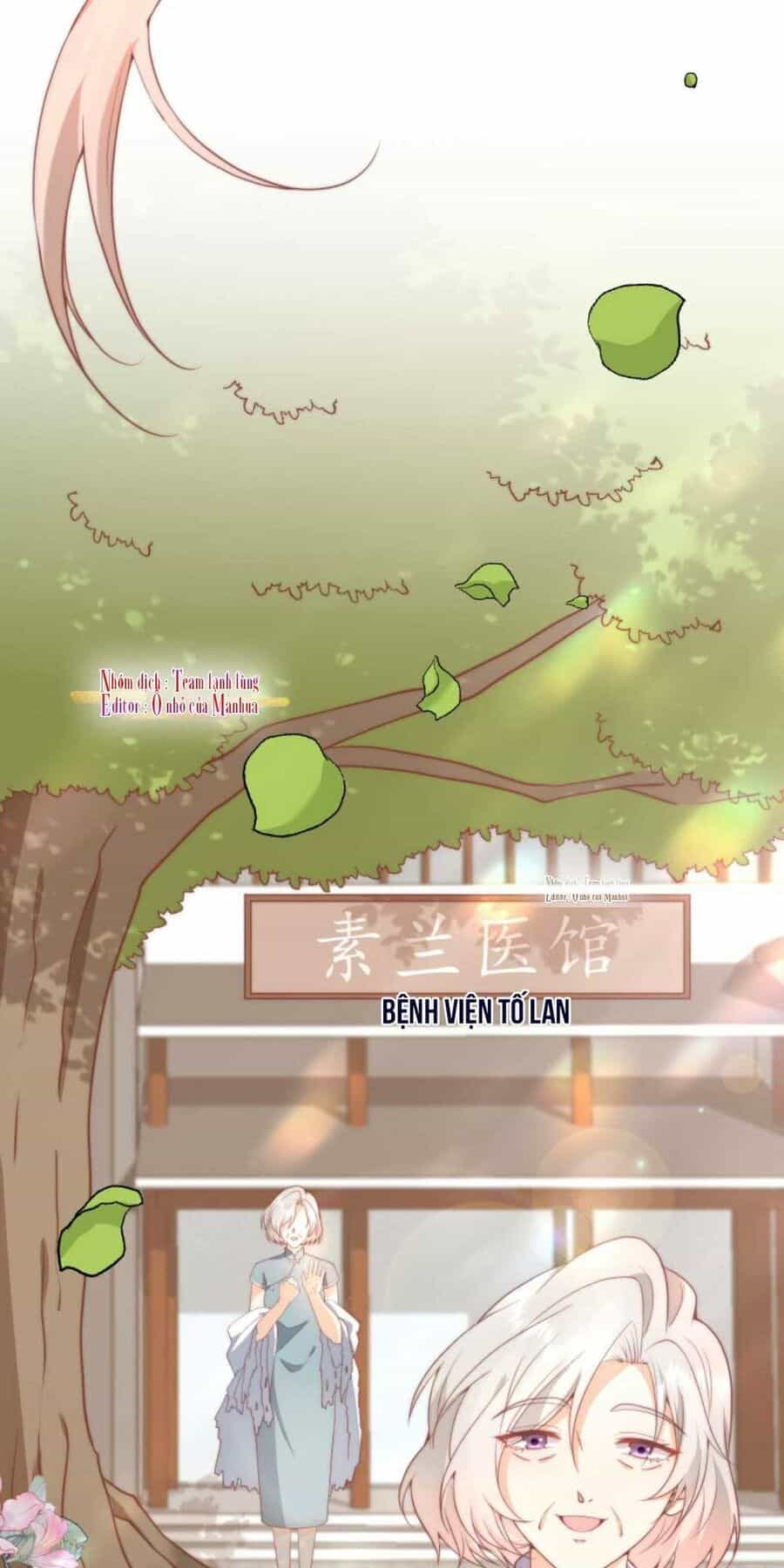 Trọng Sinh Trở Lại Làm Vợ Tổng Tài - Chương 5 - ảnh 7