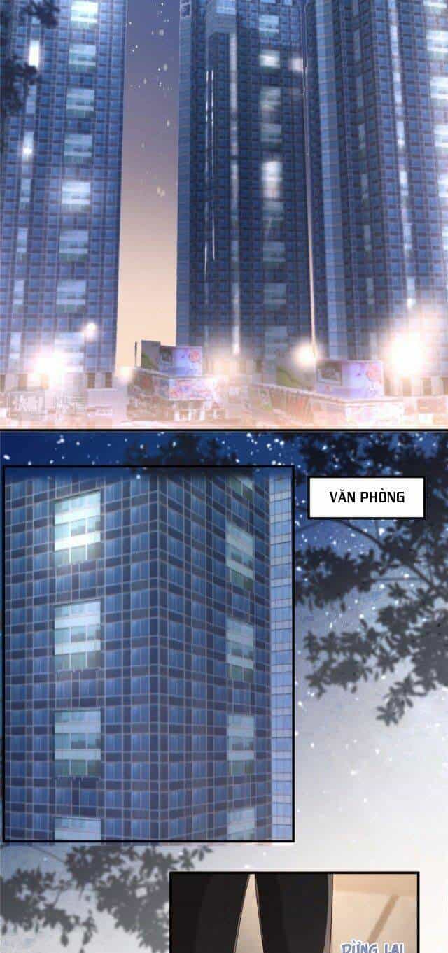 Trọng Sinh Trở Lại: Sủng Nịch Độc Nhất Vô Nhị - Chương 101 - ảnh 11