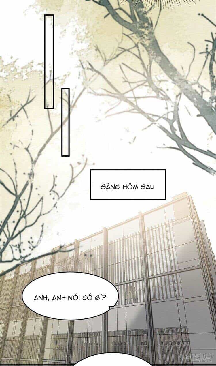Trọng Sinh Trở Lại: Sủng Nịch Độc Nhất Vô Nhị - Chương 111 - ảnh 5