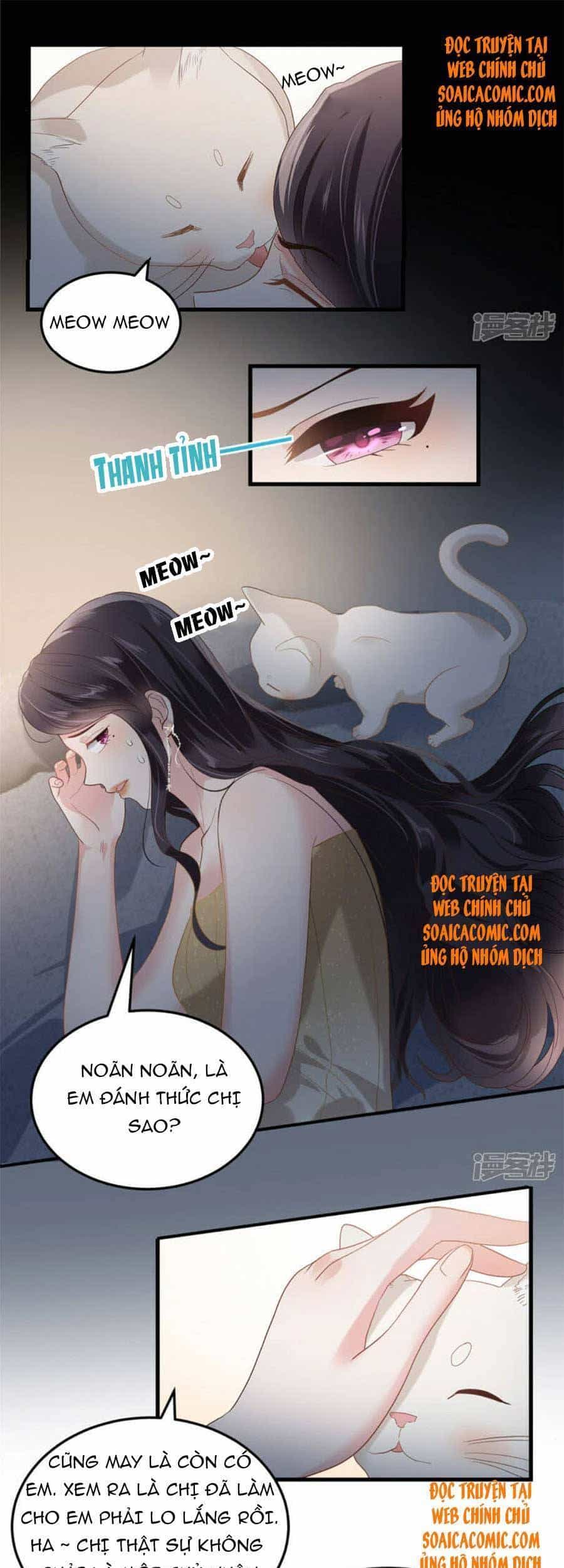 Trọng Sinh Trở Lại: Sủng Nịch Độc Nhất Vô Nhị - Chương 201 - ảnh 12
